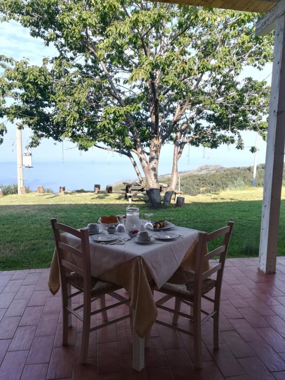 Il Cerro Agriturismo Zagarese Fuscaldo Exterior foto
